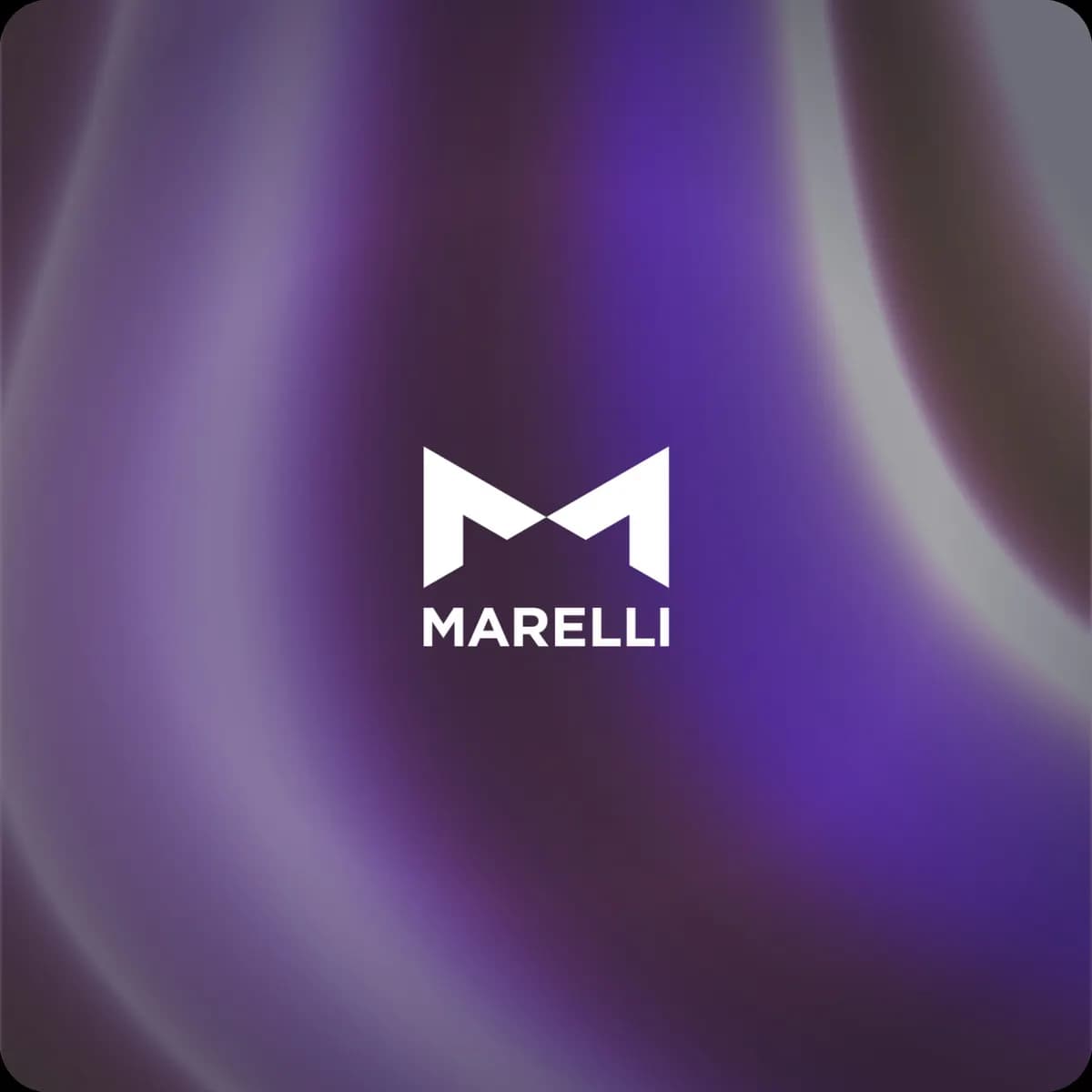 Resource banner for post 31: case study marelli kkr
